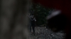 Filename=the100310_1596.jpg
Filesize=396KiB
Dimensions=1916x1076
Date added=Apr 13, 2016 the100310_1596.jpg