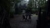 the100310_1684.jpg