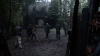 the100310_1695.jpg