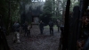 the100310_1696.jpg