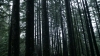 the100310_1750.jpg