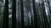 the100310_1751.jpg