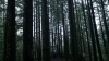 the100310_1752.jpg