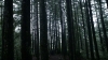 the100310_1753.jpg
