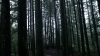 the100310_1754.jpg