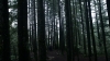 the100310_1755.jpg