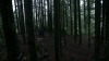 the100310_1774.jpg