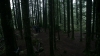 the100310_1775.jpg
