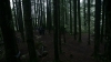 the100310_1776.jpg