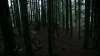 the100310_1777.jpg