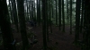 the100310_1778.jpg