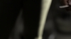 the100310_1966.jpg