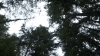 the100310_2235.jpg