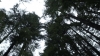 the100310_2236.jpg