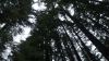 the100310_2237.jpg