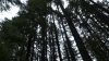 the100310_2238.jpg