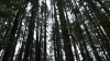 the100310_2239.jpg