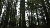 the100310_2240.jpg
