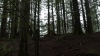 the100310_2241.jpg