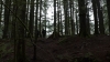 the100310_2242.jpg
