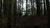 the100310_2243.jpg
