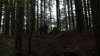 the100310_2244.jpg