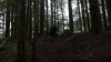 the100310_2245.jpg