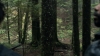 the100310_2248.jpg