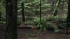 the100310_2253.jpg
