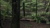 the100310_2254.jpg
