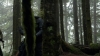the100310_2268.jpg