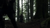 the100310_2308.jpg