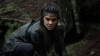 the100310_2466.jpg