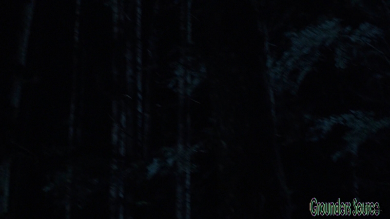 The Nevermore Season Three Episode Eleven Captures-2884
