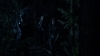 the100_311_0164.jpg