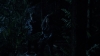 the100_311_0165.jpg