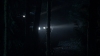 the100_311_0176.jpg