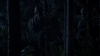 the100_311_0305.jpg