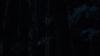 the100_311_0316.jpg