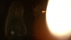 the100_311_0544.jpg