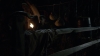 the100_311_1124.jpg