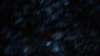 the100_311_1771.jpg