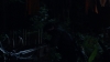 the100_311_2280.jpg