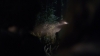 the100_311_2329.jpg
