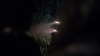 the100_311_2330.jpg