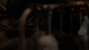 the100_311_2469.jpg
