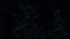 the100_311_2508.jpg