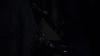 the100_311_3141.jpg