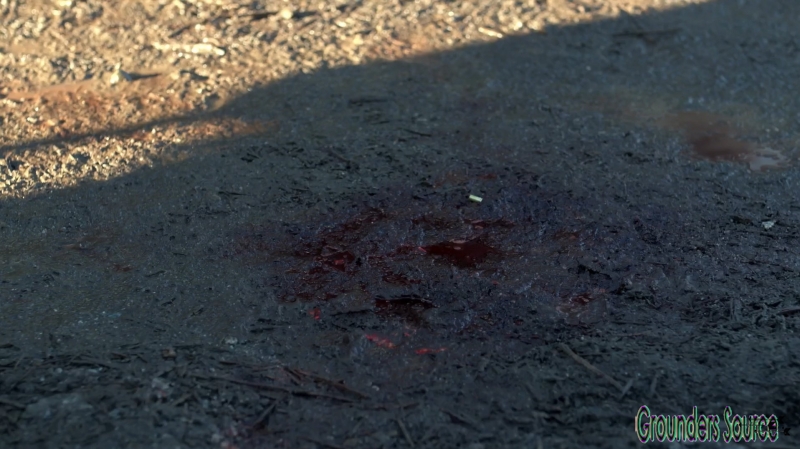 The 100 Season Three Episode Twelve Demons Captures-2391
