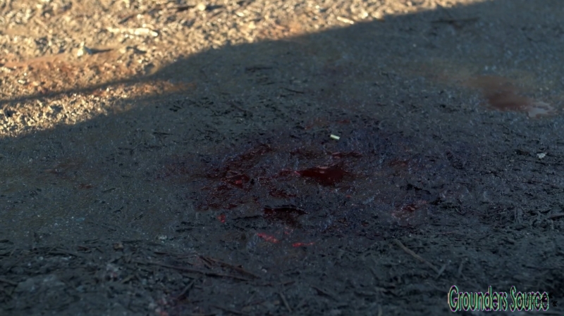 The 100 Season Three Episode Twelve Demons Captures-2390
